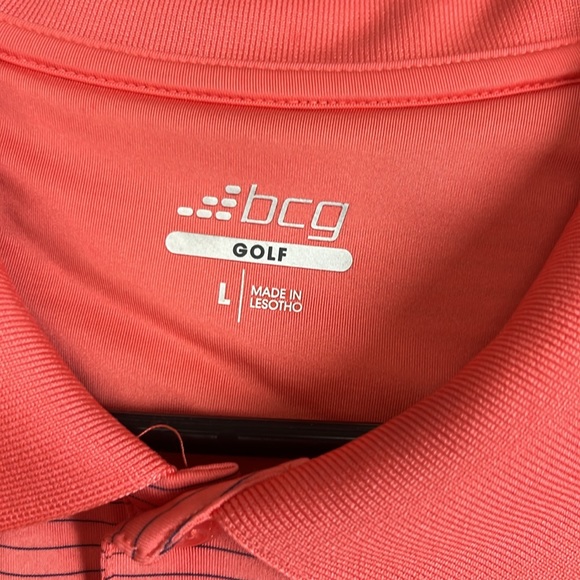 BCG - Picture 4 of 7